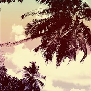 Meet your Posher, Macie